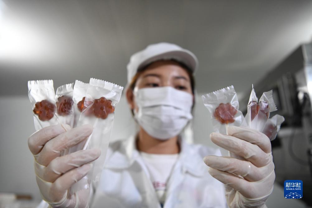 免费白菜网